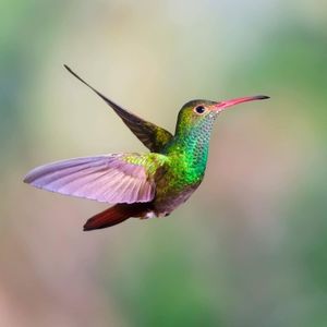 Meet your Posher, Tina